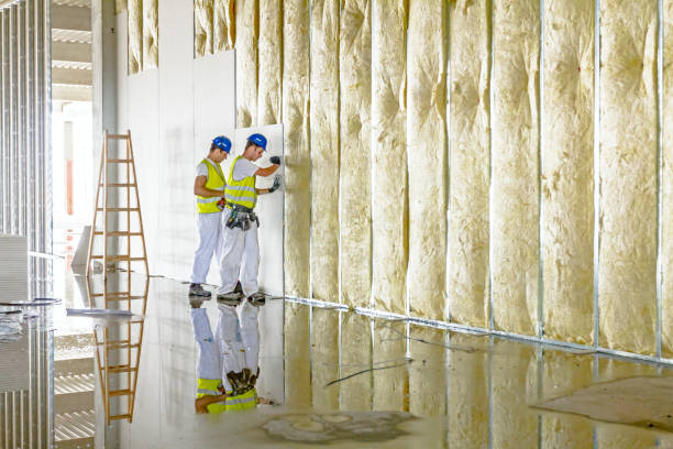 Best Insulation Maintenance and Repair in Spring City, UT